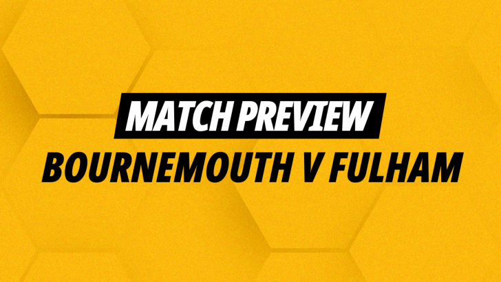 Bournemouth v Fulham match preview